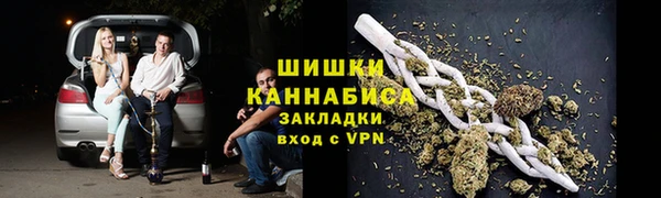 шишки Аркадак