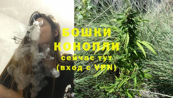 PSILOCYBIN Армянск