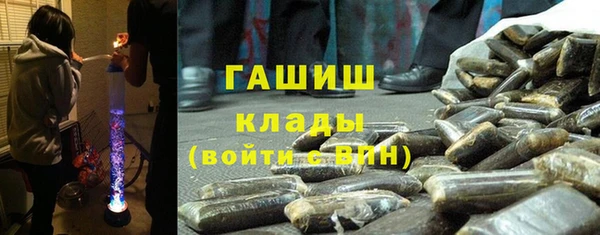 шишки Аркадак
