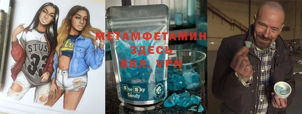 шишки Аркадак
