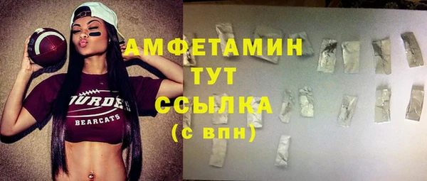 шишки Аркадак