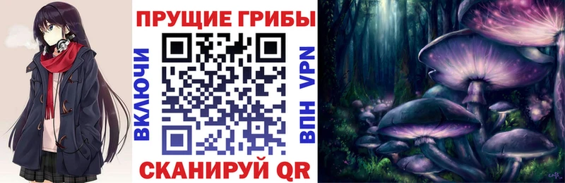 Псилоцибиновые грибы прущие грибы  Таштагол 